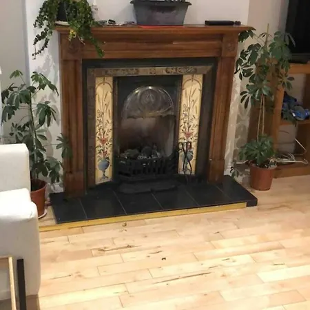 Entire House, Sleeps 2-6, Sunroom, Outside Yard 都柏林